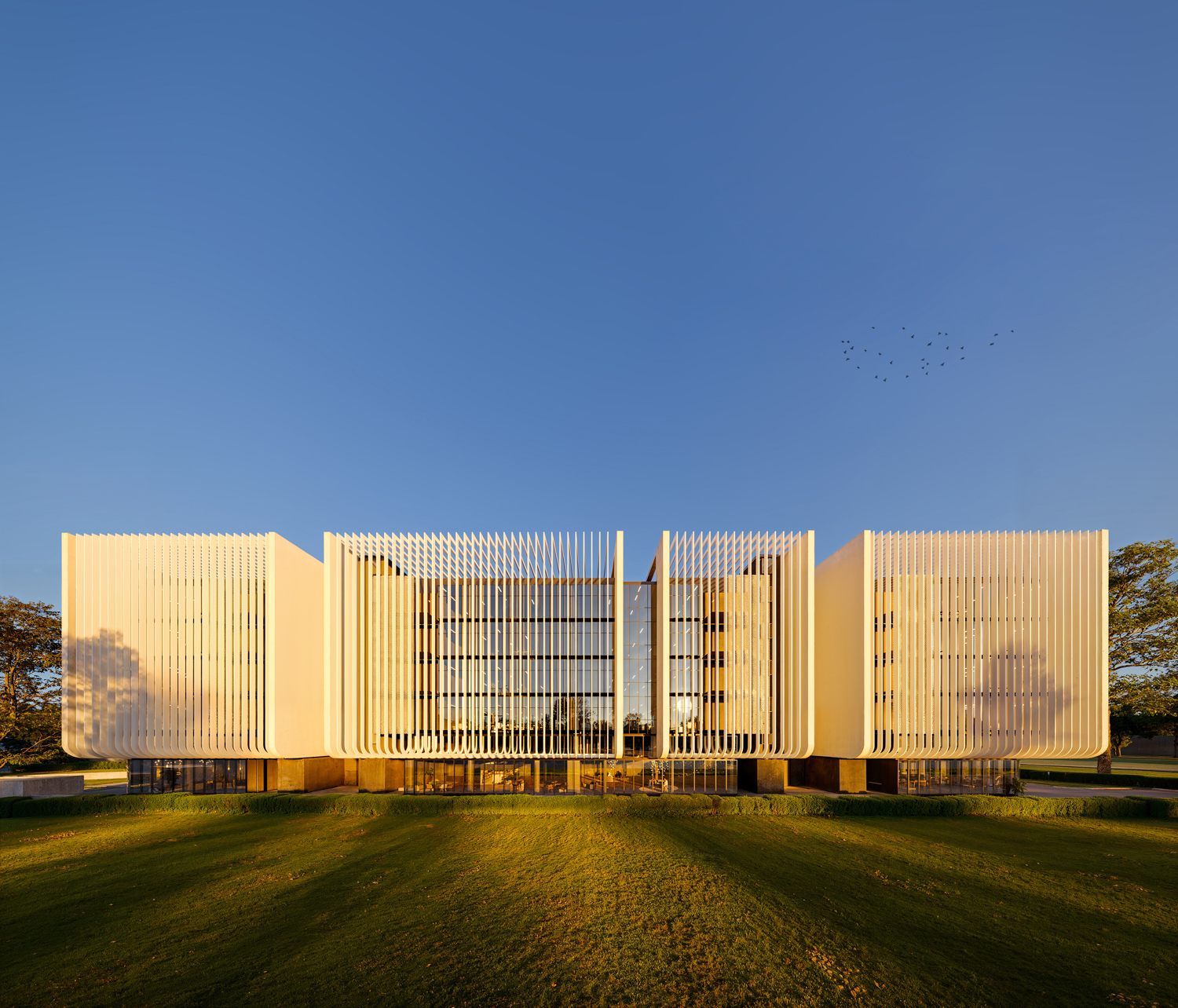 UNITY VIEW 03 BACKPAIN