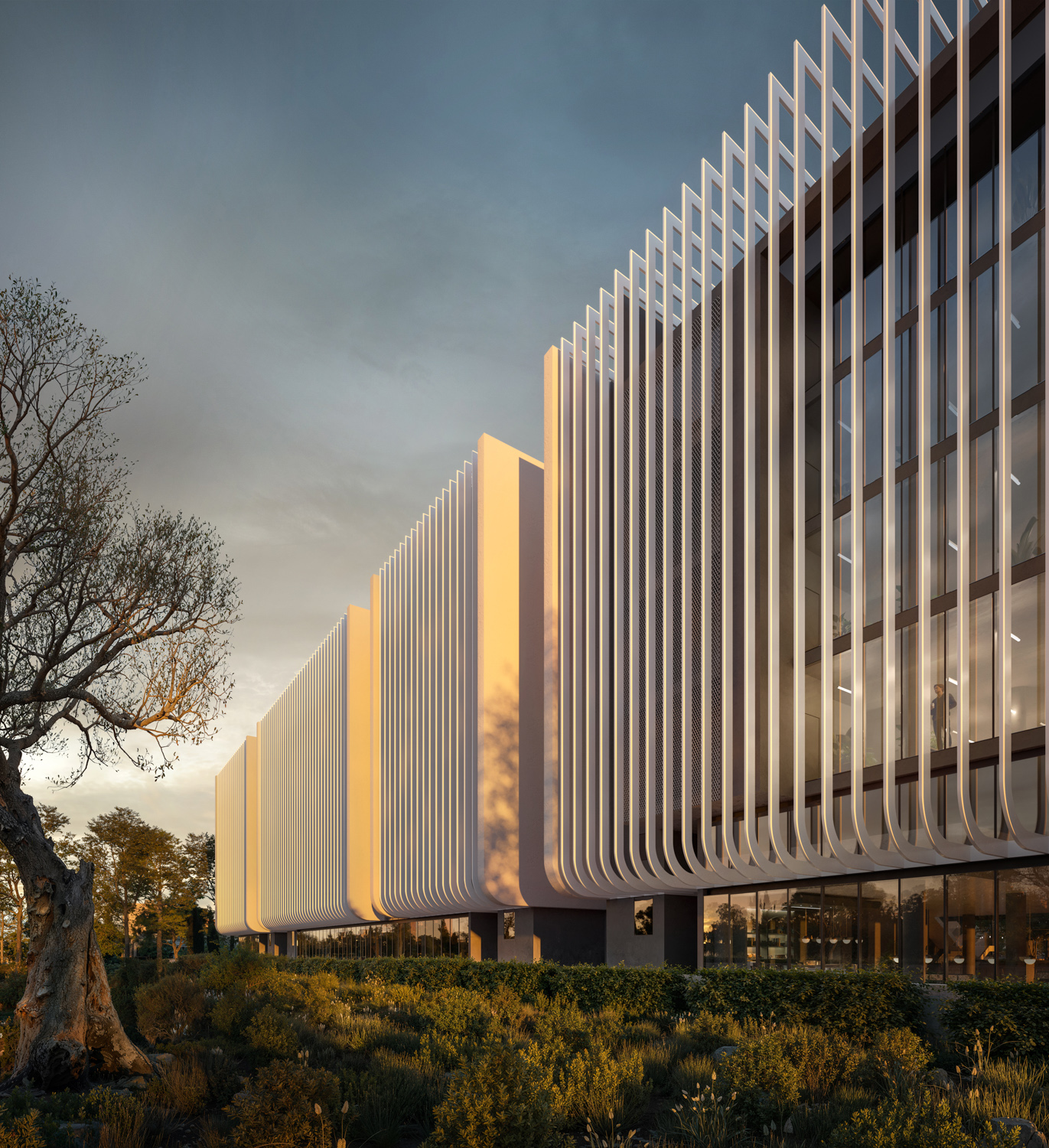 UNITY VIEW 05 BACK RITHM